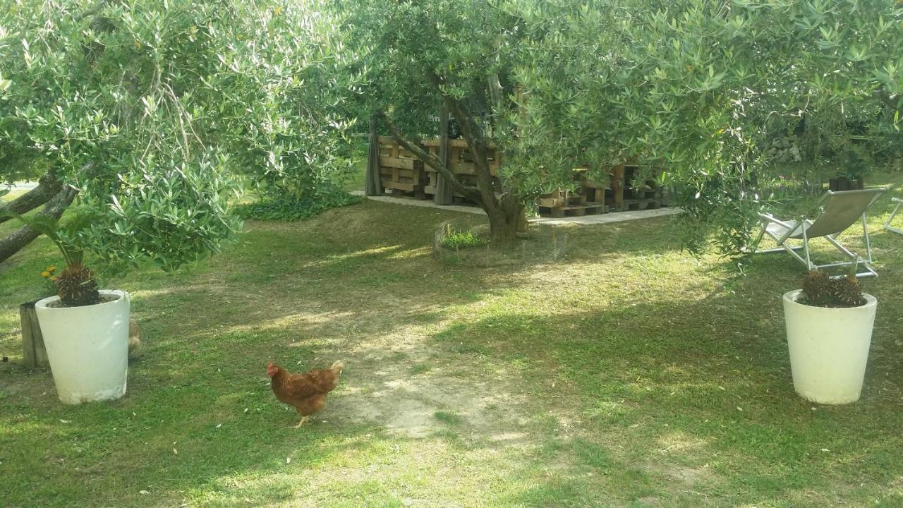 People Bed and Breakfast Castorano Εξωτερικό φωτογραφία
